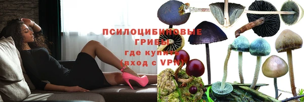 мяу мяу кристалл Богданович