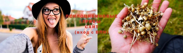 спиды Беломорск