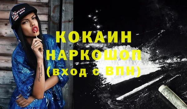тгк Богородицк