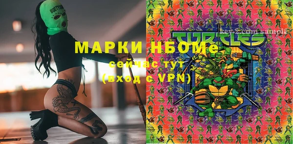 мет Пестово