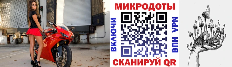 Псилоцибиновые грибы Magic Shrooms OMG вход Онега