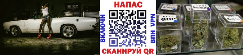 Марихуана план  МЕГА ТОР  Онега 